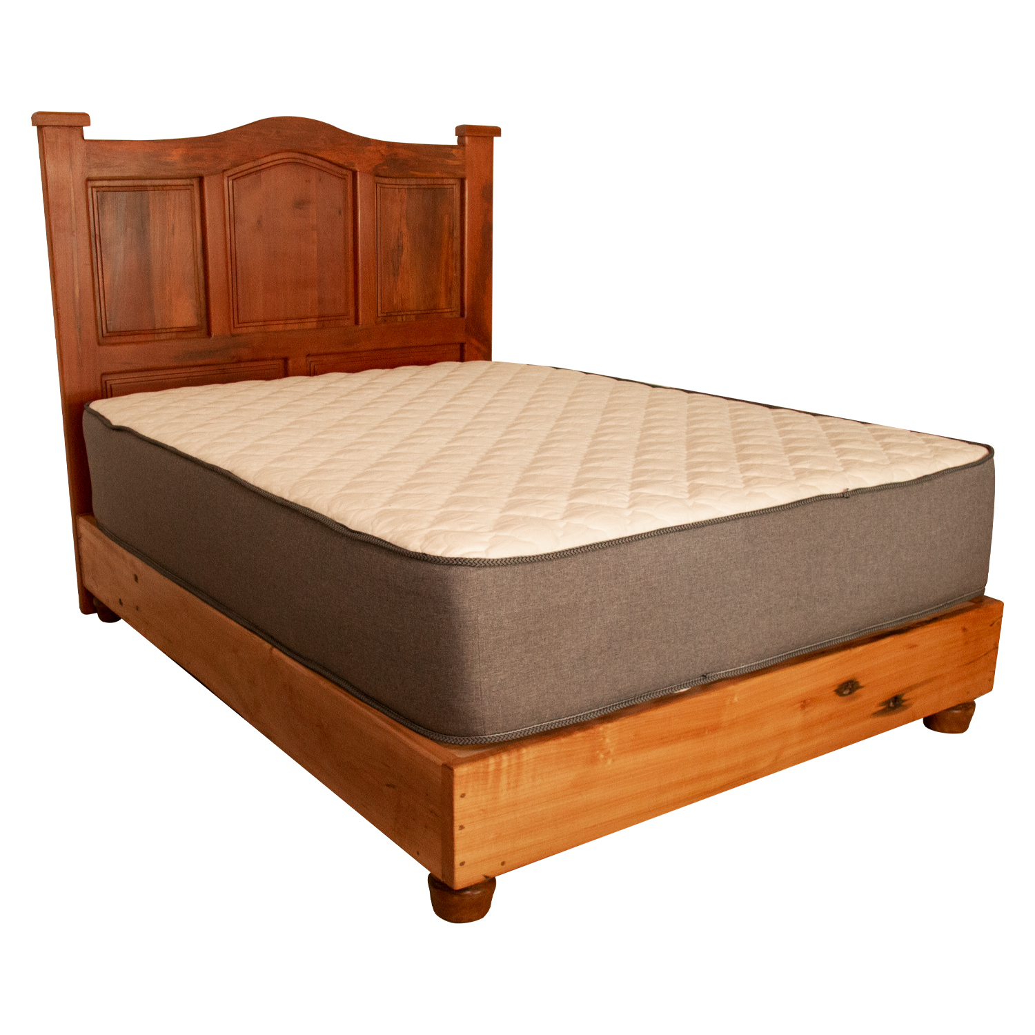 Roble Antonella - Imagen 2