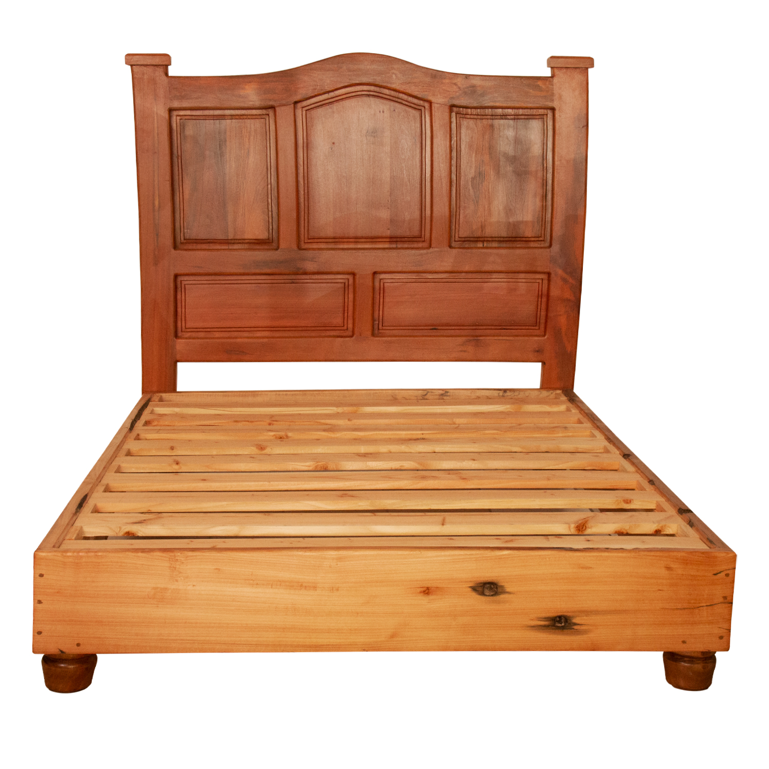 Roble Antonella - Imagen 3