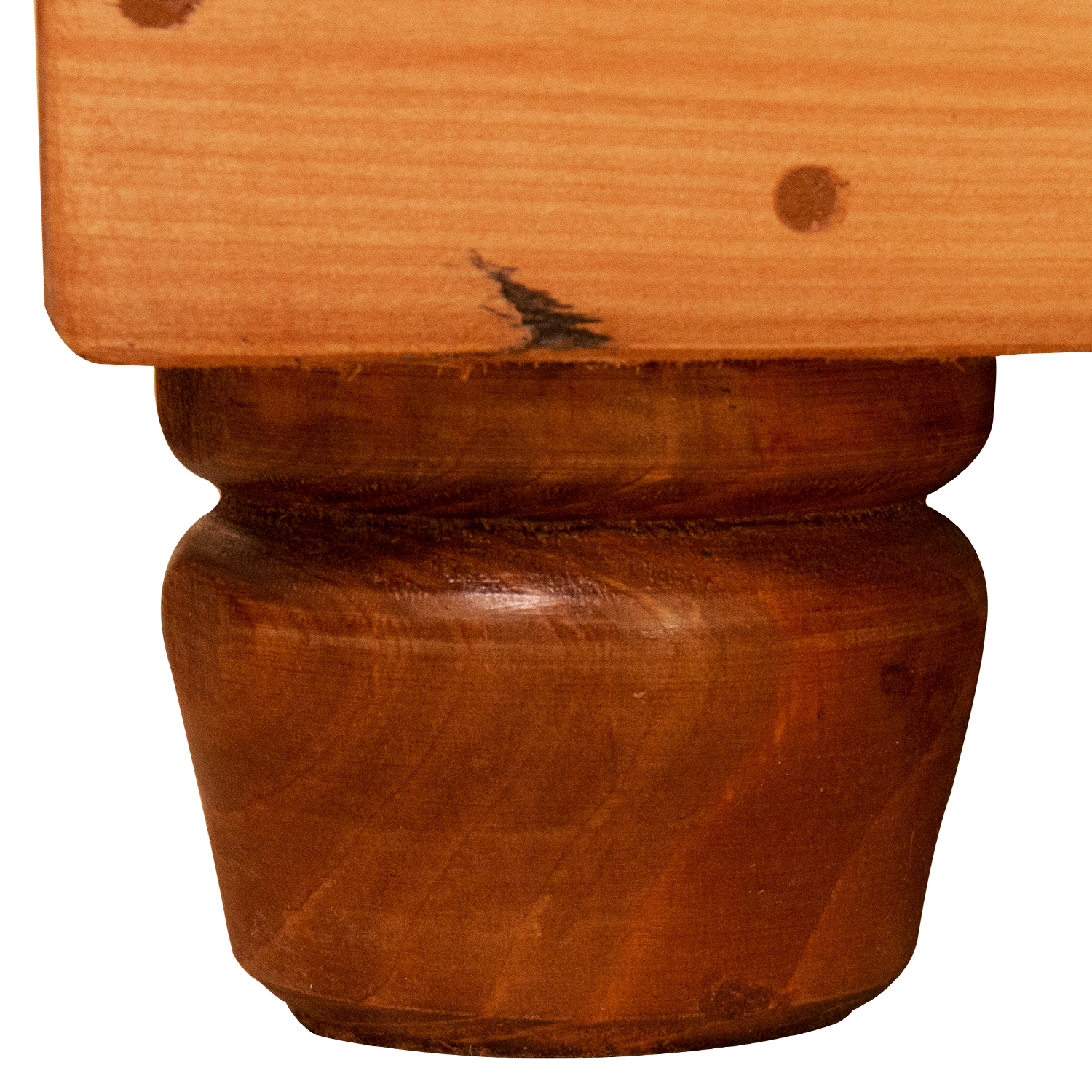 Roble Antonella - Imagen 5