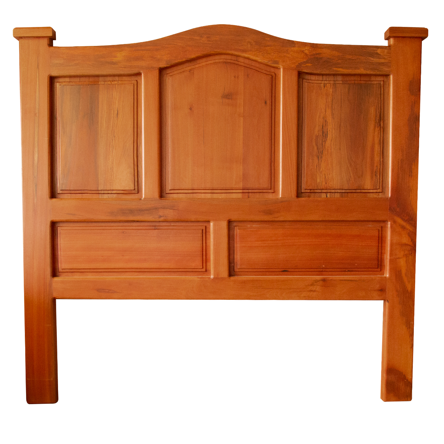 Roble Antonella - Imagen 4